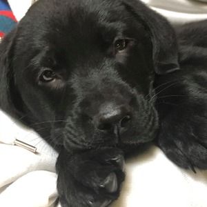 Meet your Posher, Janie